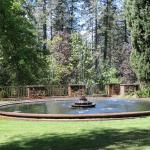 IMG_7570 (May 28, 2024)